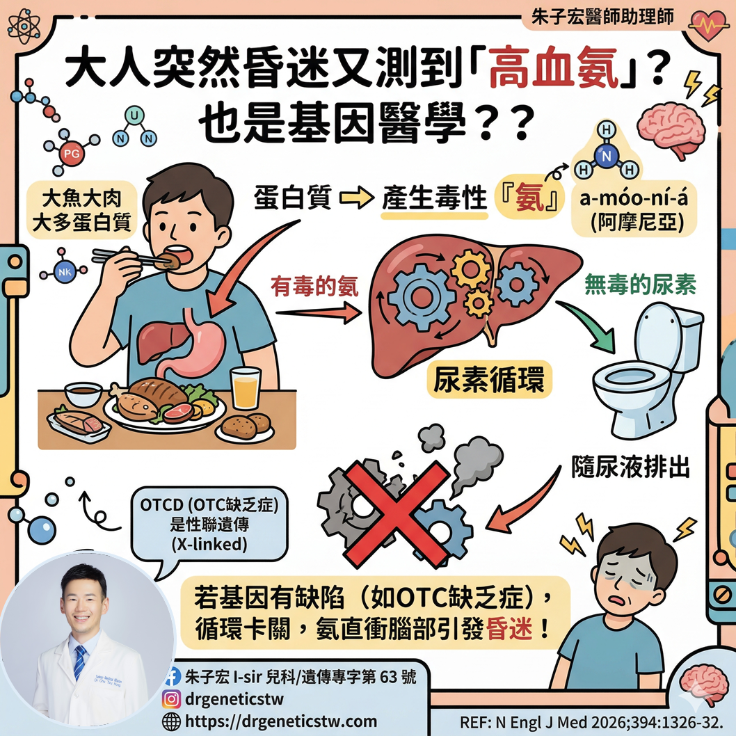 大人突然昏迷又測到「高血氨」？也是基因醫學？？