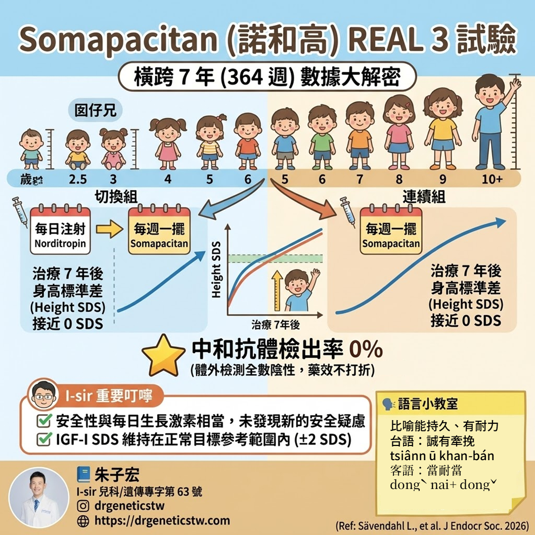 橫跨7年的考驗！週打型生長激素諾和高（Somapacitan）長期成效「有牽挽抑無」？安全性與抗體數據大解密