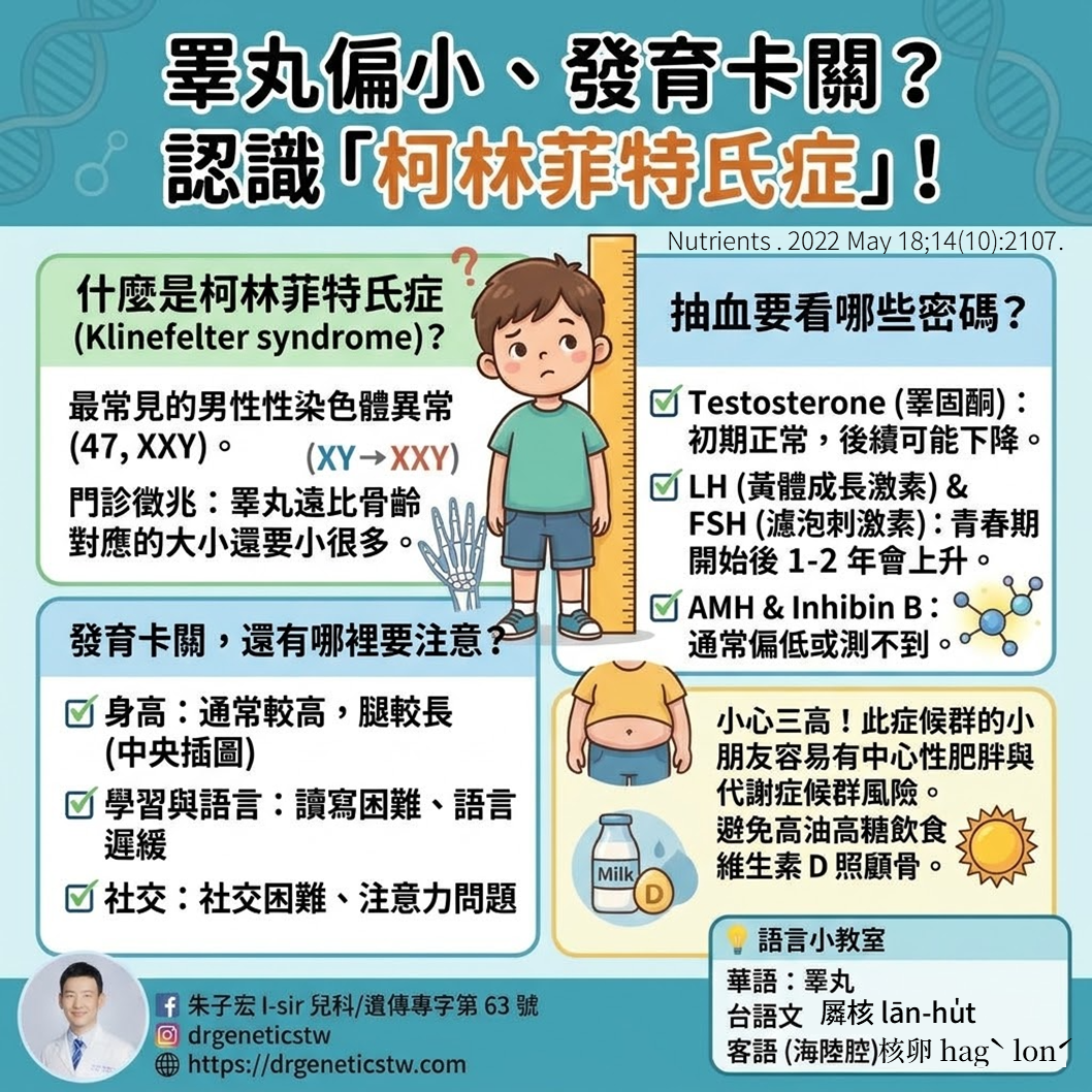 睪丸偏小、發育停滯？Tsu 醫師帶你認識柯林菲特氏症候群 (Klinefelter Syndrome)